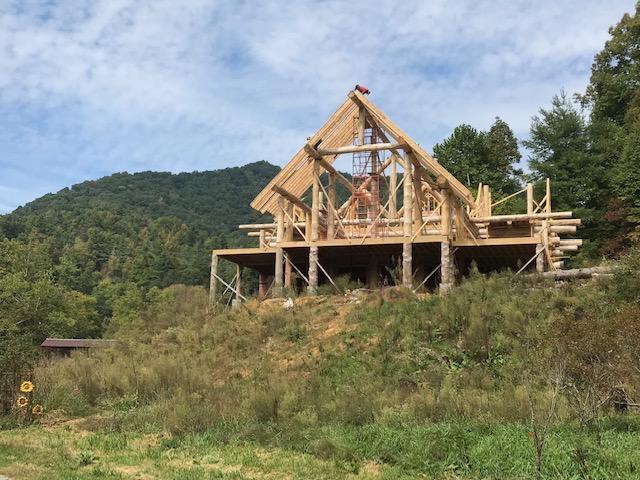 Building the LovEvolution Lodge